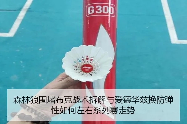森林狼围堵布克战术拆解与爱德华兹换防弹性如何左右系列赛走势