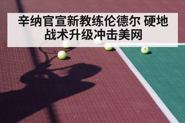 辛纳官宣新教练伦德尔 硬地战术升级冲击美网
